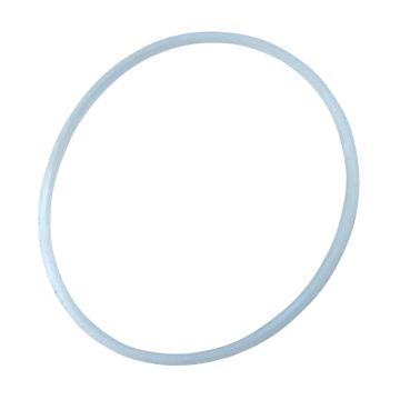 Diaphragm Seal Ring for Resun LP-100 air pump (Part 19)