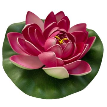 PondMAX Floating Waterlily 04WL093PK