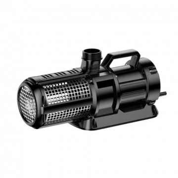 PX26000