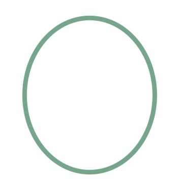 O-Ring to suit Hozelock Vorton & early oval model Body seal - OR535