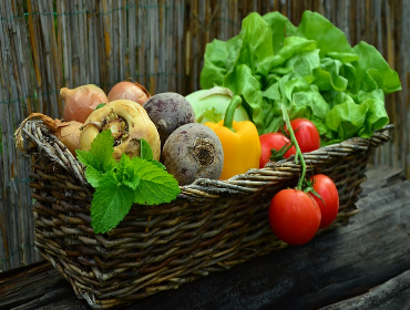 7 tips for growing a vegetable garden