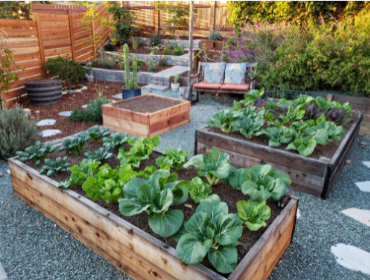 Are Raised Garden Beds Better?