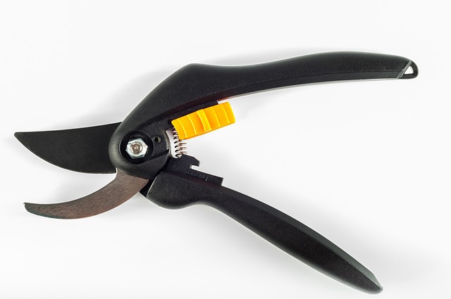 Choosing the Right Secateurs for Your Garden