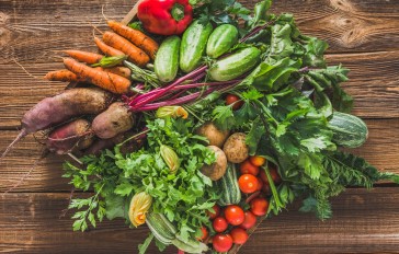 18 Easy Veggies to Grow