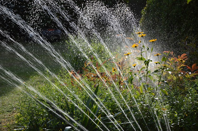 Smart Watering Solutions for Busy Gardeners