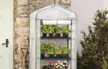 What plants should I grow in a Greenhouse?