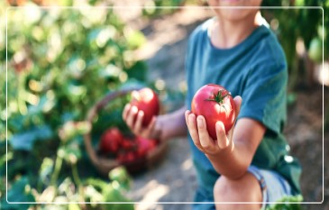 What are the advantages of growing your own veggie?