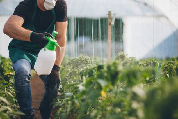 Natural and Organic Alternatives to Chemical Spraying