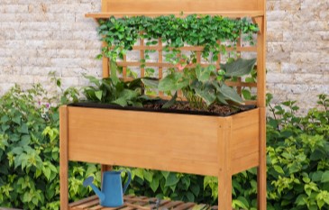 What plants shall I grow on a Trellis?