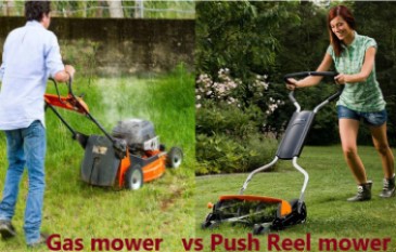 Push Reel Mower Vs Gas Mower