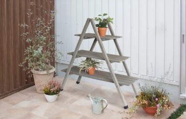 What plants look great on a Plant shelf?