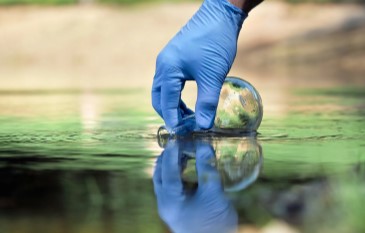 How to naturally encourage growth of beneficial bacteria in your pond?