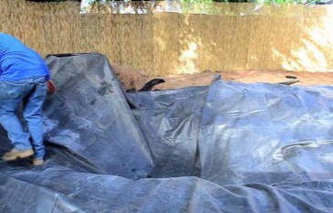 What are the Important factors to consider before setting up a new pond?