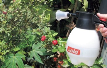 What are the most common usages of Pressure Sprayers outside your garden?