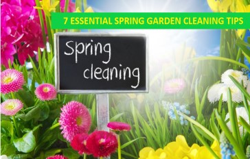 7 Essential Garden Cleaning Tips