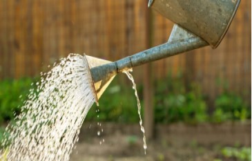 Tips on Watering Garden during Winter season ?