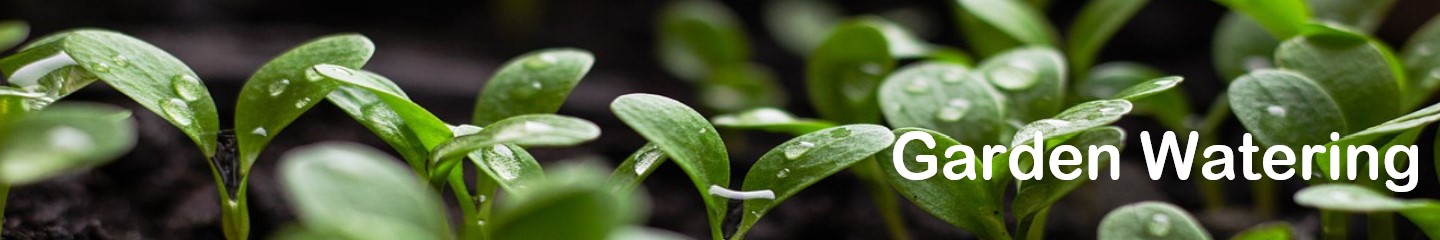 Garden Watering Garden Watering