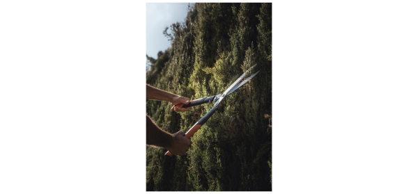 Fiskars powergear x hedge shear hsx92 store