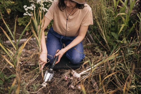 Fiskars digger online